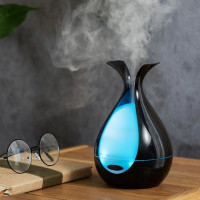 Ultrasonic humidifier: pros and cons, customer recommendations