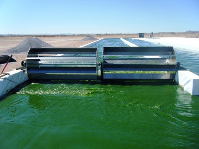 Produkce biohydrogenu z řas