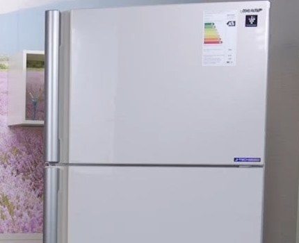 Refrigerator Sharp SJ-XE55PMBE