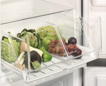 Ergonomic containers in the Elctrolux refrigerator