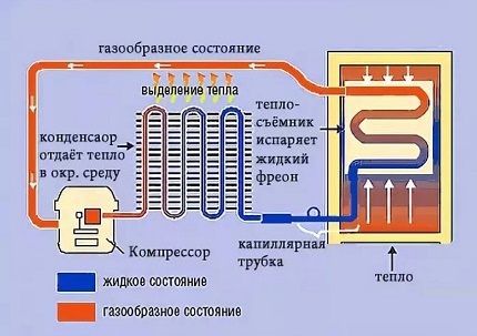 Compression refrigerator layout