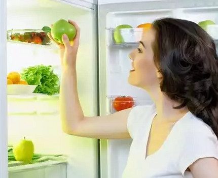 Air ionizer fridge
