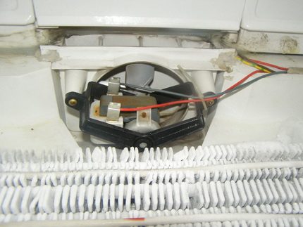 Ledusskapja ventilators