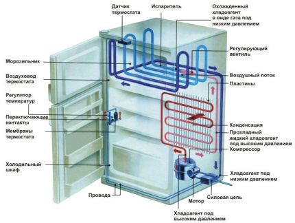 Iztvaikošanas ledusskapja diagramma