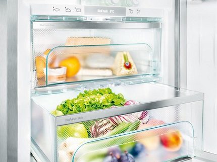 Freshness area in the fridge