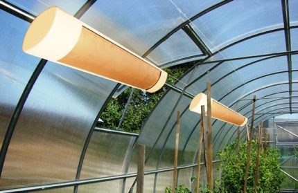 Infračervená lampa ve skleníku