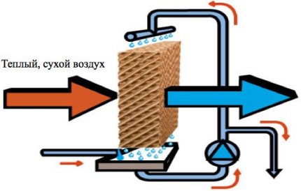 El principio de funcionamiento del evaporador basado en cartuchos celulares.
